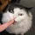 TomOinn_1148300