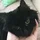 Squish.De.Kat