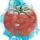 TempoTomato