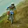 ServisDogaCZ_727579