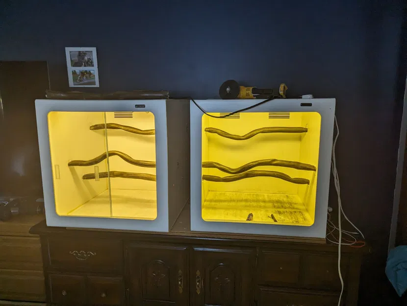 Người giữ cá rô - Image 1