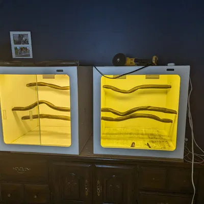 Người giữ cá rô