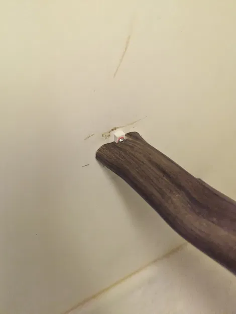 Người giữ cá rô - Image 3