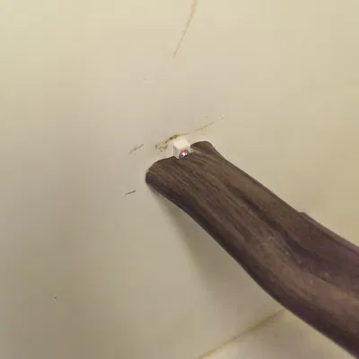 Người giữ cá rô