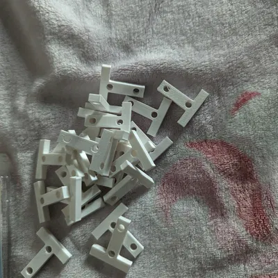 Người giữ cá rô