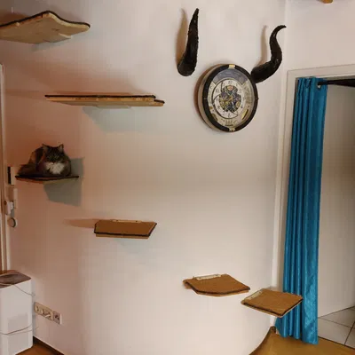 Nơi ngủ gắn trên tường cho mèo