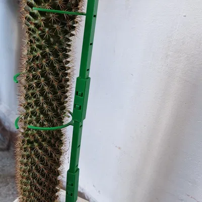 Hỗ trợ/giữ nhà máy