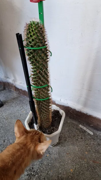 Hỗ trợ/giữ nhà máy - Image 3