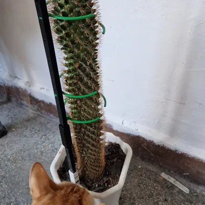 Hỗ trợ/giữ nhà máy