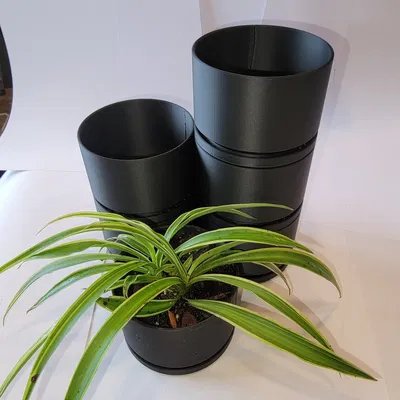 Người trồng cây thu nhỏ