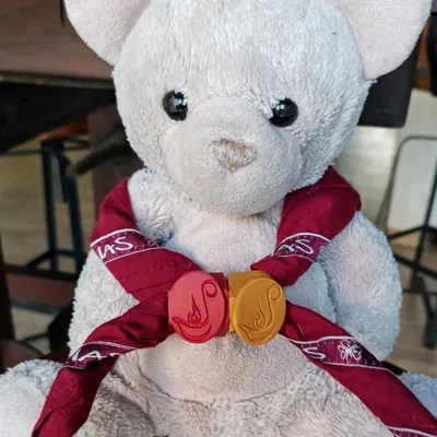 Wagggs Woggle Scar Ring Rangers (Vệ binh già ở Argentina) - Pasapañuelos hoặc Canuto de Guias Major Aga