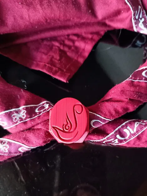 Wagggs Woggle Scar Ring Rangers (Vệ binh già ở Argentina) - Pasapañuelos hoặc Canuto de Guias Major Aga - Image 3