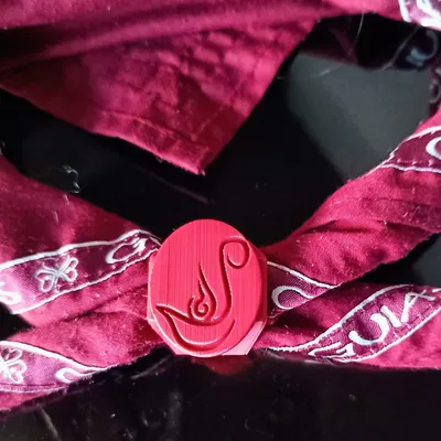 Wagggs Woggle Scar Ring Rangers (Vệ binh già ở Argentina) - Pasapañuelos hoặc Canuto de Guias Major Aga