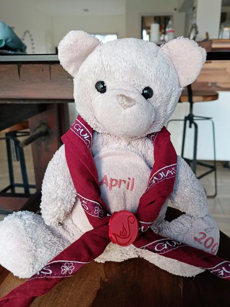 Wagggs Woggle Scar Ring Rangers (Vệ binh già ở Argentina) - Pasapañuelos hoặc Canuto de Guias Major Aga - Image 4