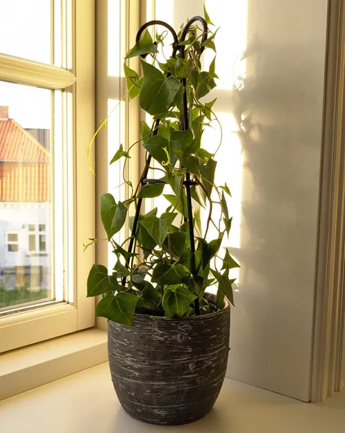 Tháp thực vật - Image 1