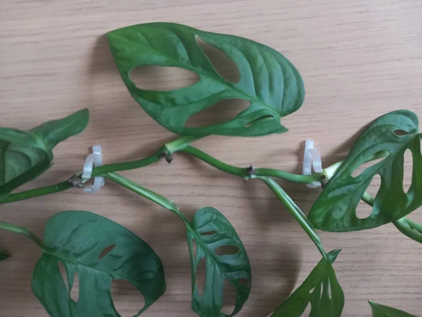 Giá đỡ thân tường - Image 4