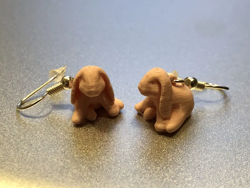 Ducky the lop Eared Bunny Earling - Image 1