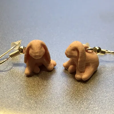 Ducky the lop Eared Bunny Earling