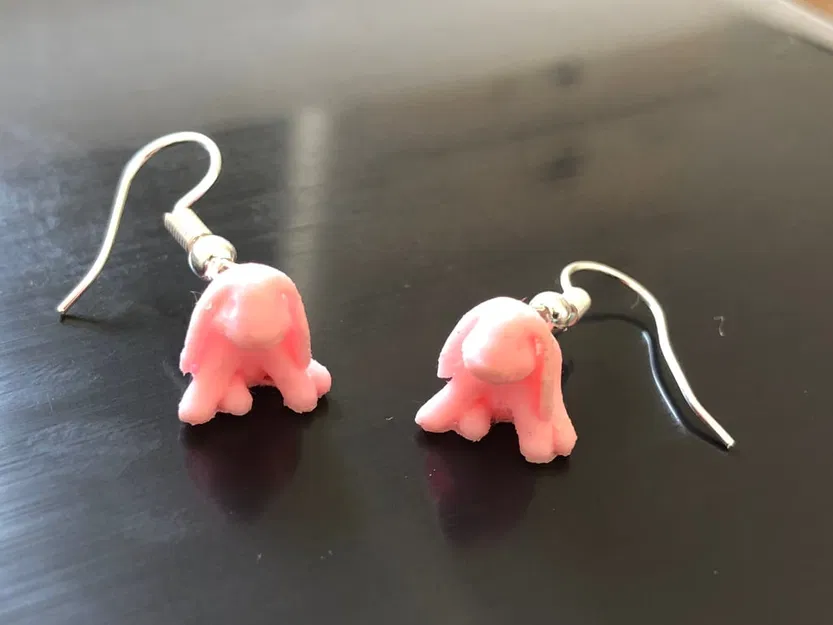 Ducky the lop Eared Bunny Earling - Image 2