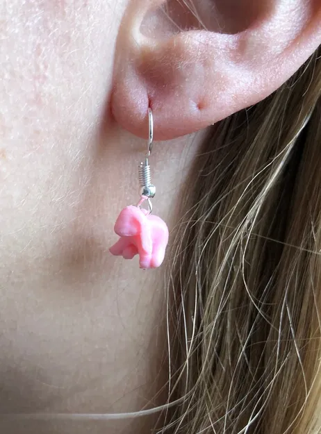 Ducky the lop Eared Bunny Earling - Image 3