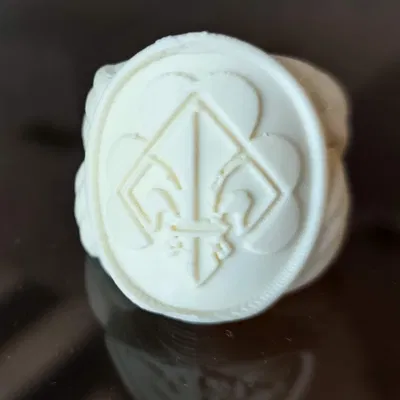 BDP Halstuch Knoten Google (Hướng dẫn và trinh sát Đức)