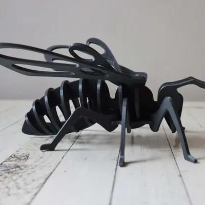 Bộ giải đố ong