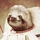 Sloth