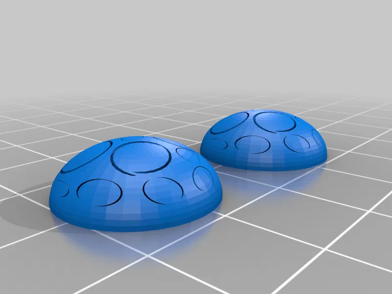 Bọ rùa kỳ diệu- Hoa tai kỳ diệu - Image 1