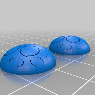 Bọ rùa kỳ diệu- Hoa tai kỳ diệu