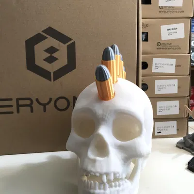 Bullet Skull Bullet Punk