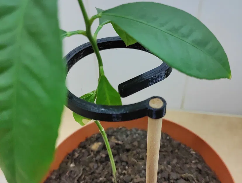 Hỗ trợ thực vật phẳng - Image 1