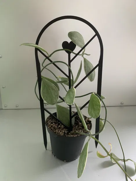 Hỗ trợ thực vật/người leo núi một mảnh - Image 1