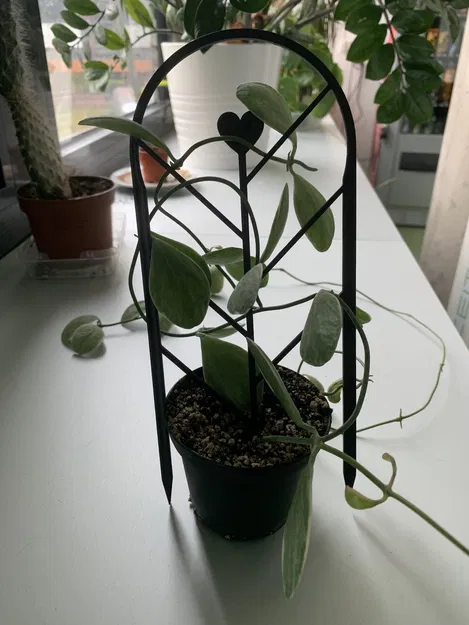 Hỗ trợ thực vật/người leo núi một mảnh - Image 3