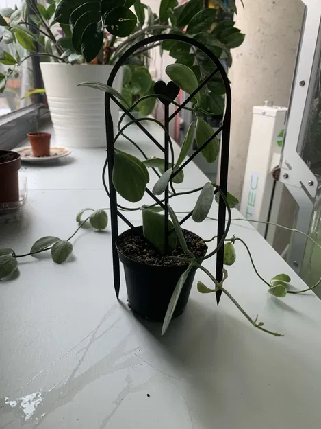 Hỗ trợ thực vật/người leo núi một mảnh - Image 4