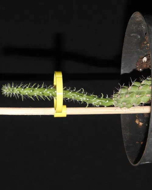 Hỗ trợ nhà máy (OpenScad) - Image 2