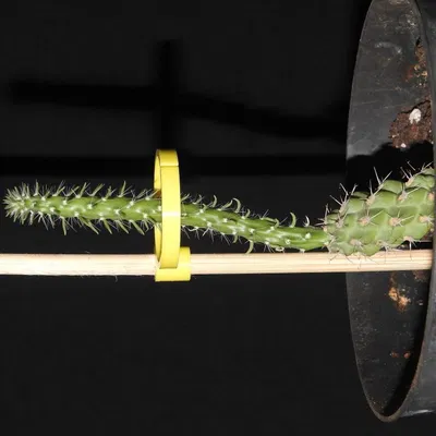 Hỗ trợ nhà máy (OpenScad)