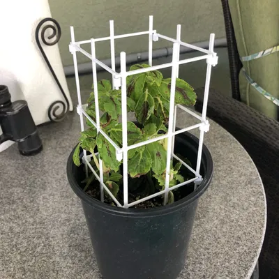 Bảng hàng rào hỗ trợ thực vật