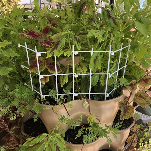 Bảng hàng rào hỗ trợ thực vật - Image 8