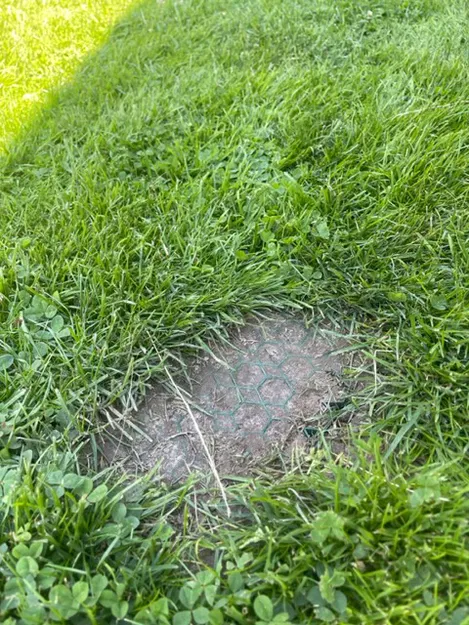 Grilles cho morava/lưới cỏ cho máy cắt cỏ robot - Image 2