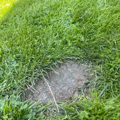 Grilles cho morava/lưới cỏ cho máy cắt cỏ robot