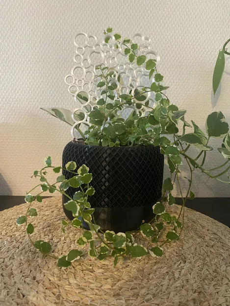 Hỗ trợ thực vật bong bóng - Image 1