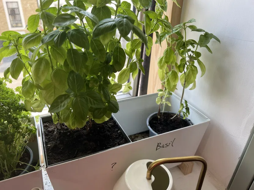 IKEA Bittergurka Planter thoát nước - Image 1