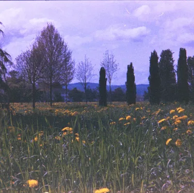 Bộ chuyển đổi số hóa phim 35/24 mm Tamron Soligor