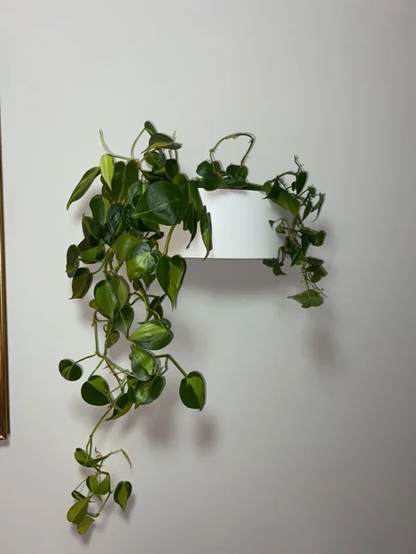 Hastbona Ikea Plant Pot - Image 4