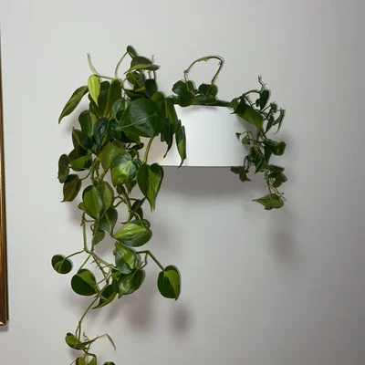 Hastbona Ikea Plant Pot