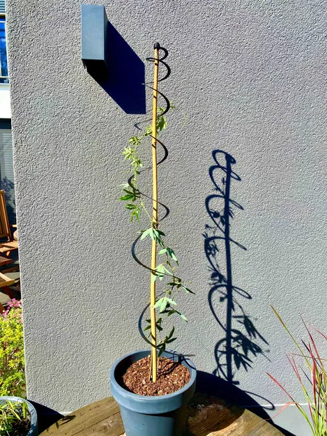 Xếp hạng hỗ trợ - Image 1