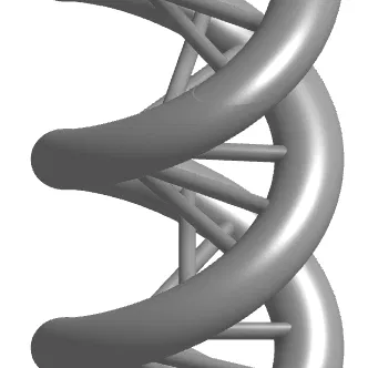 Mô hình DNA cơ bản