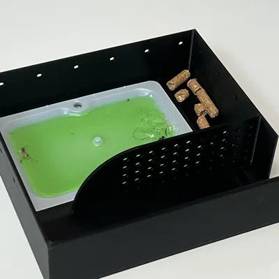 Một cái bẫy chuột tốt hơn