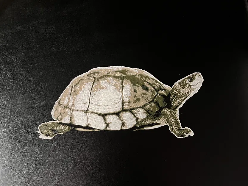 Rùa Hueforge - Image 1