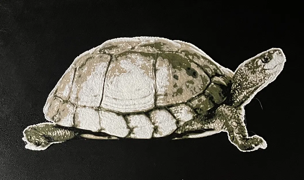 Rùa Hueforge - Image 2